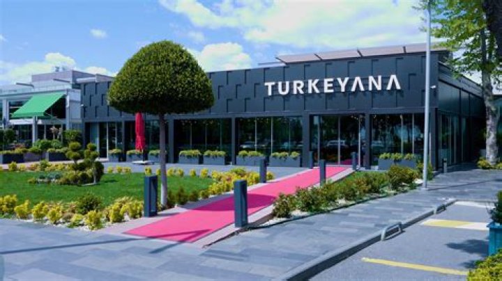 A Transformative Journey at Istanbul’s Turkeyana Clinic