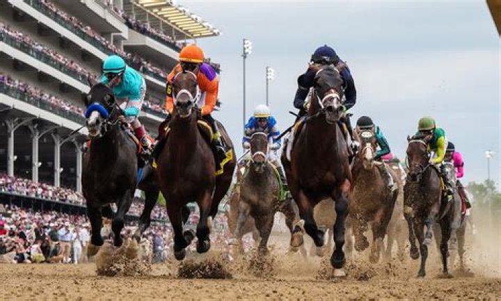 Belmont Stakes 2016: Meet The Horses — SEE PICS