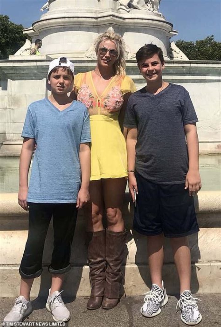 Britney Spears ‘Committed’ To Repairing Relationship With Sons