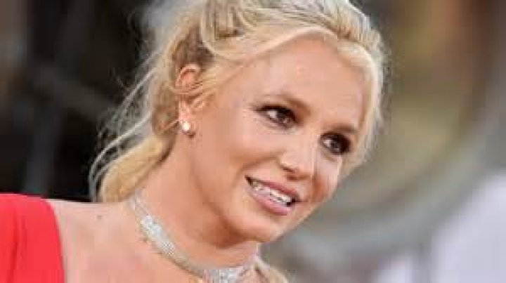 Britney Spears In Purple Bikini On Boat: Video – Hollywood Life