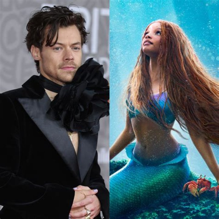 Harry Styles Reveals Why He Turned Down ‘The Little Mermaid’ Role – Hollywood Life