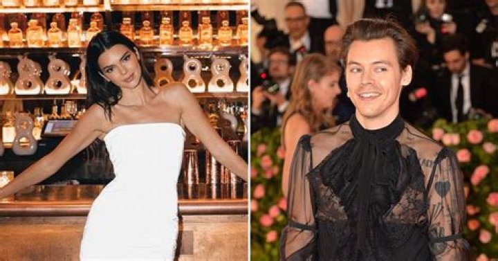 Kendall Jenner & Harry Styles: Former Lovers Attend Same Concert — Awkward Run-In?