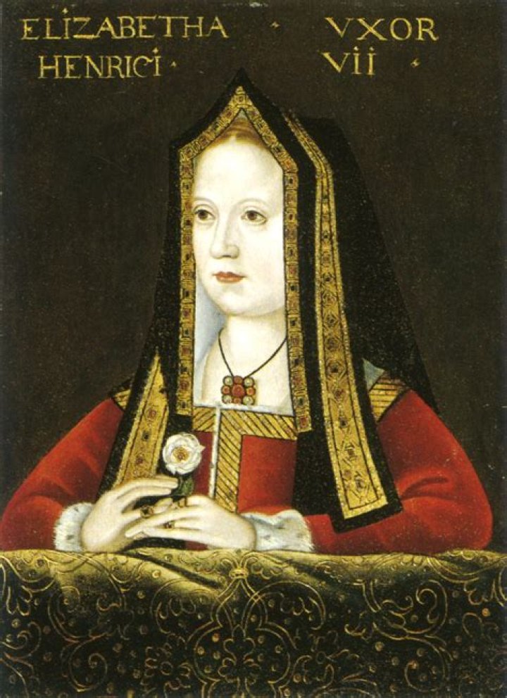 King Henry VII & Elizabeth Of York Married In Ep 1 – Hollywood Life