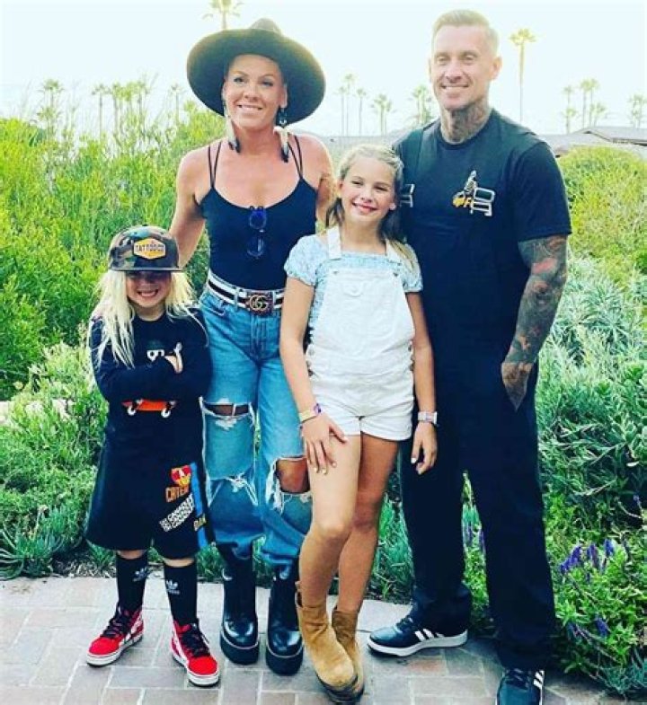 Pink & Husband Carey Hart Take Adorable Kids Willow, 8 & Jameson, 3, For Day At Disneyland — See Pics