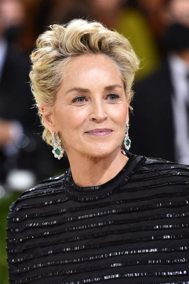 Sharon Stone, 63, Is Gorgeous In Recycled Valentino Gown She 1st Wore Nearly 10 Years Ago – Pics