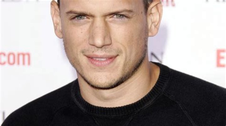 Wentworth Miller Gay — Celebs React On Twitter – Hollywood Life